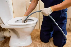 personne introduisant un tuyau de drainage dans un WC